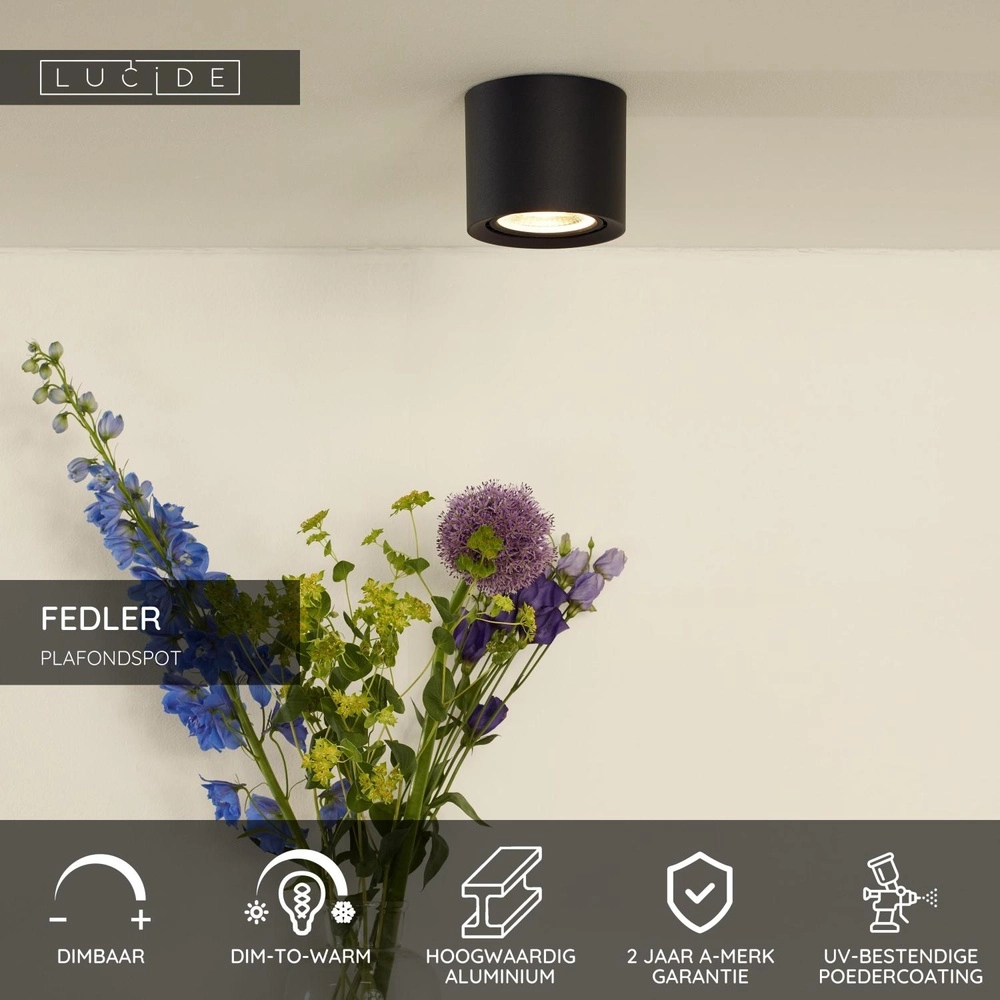 Tache au plafond Ø 12cm Fedler GU10 ES111 noir Lucide 5411212092120