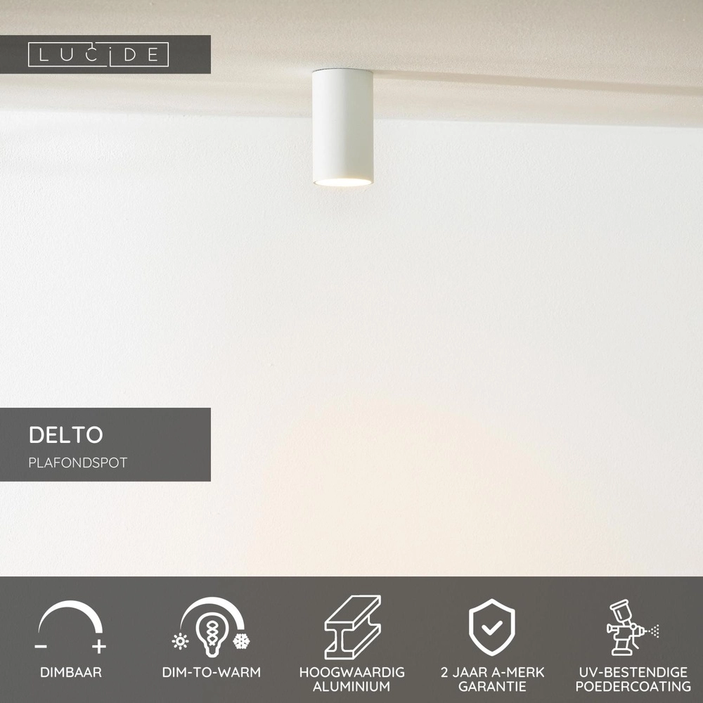 Spot lisse monté en surface Delto blanc Ø 5,5 cm avec la source lumineuse Lucide 5411212092366