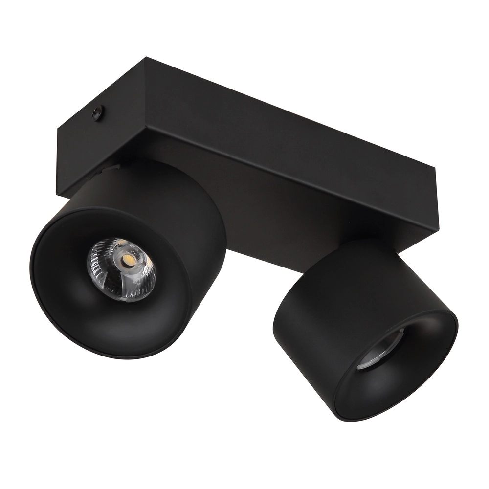 Lampe de plafond élégante Rae 2-noir clair Globo 9007371447640