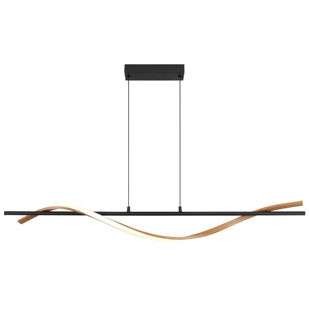 Lampe pendante de conception Watkins Noir Globo 9007371533749