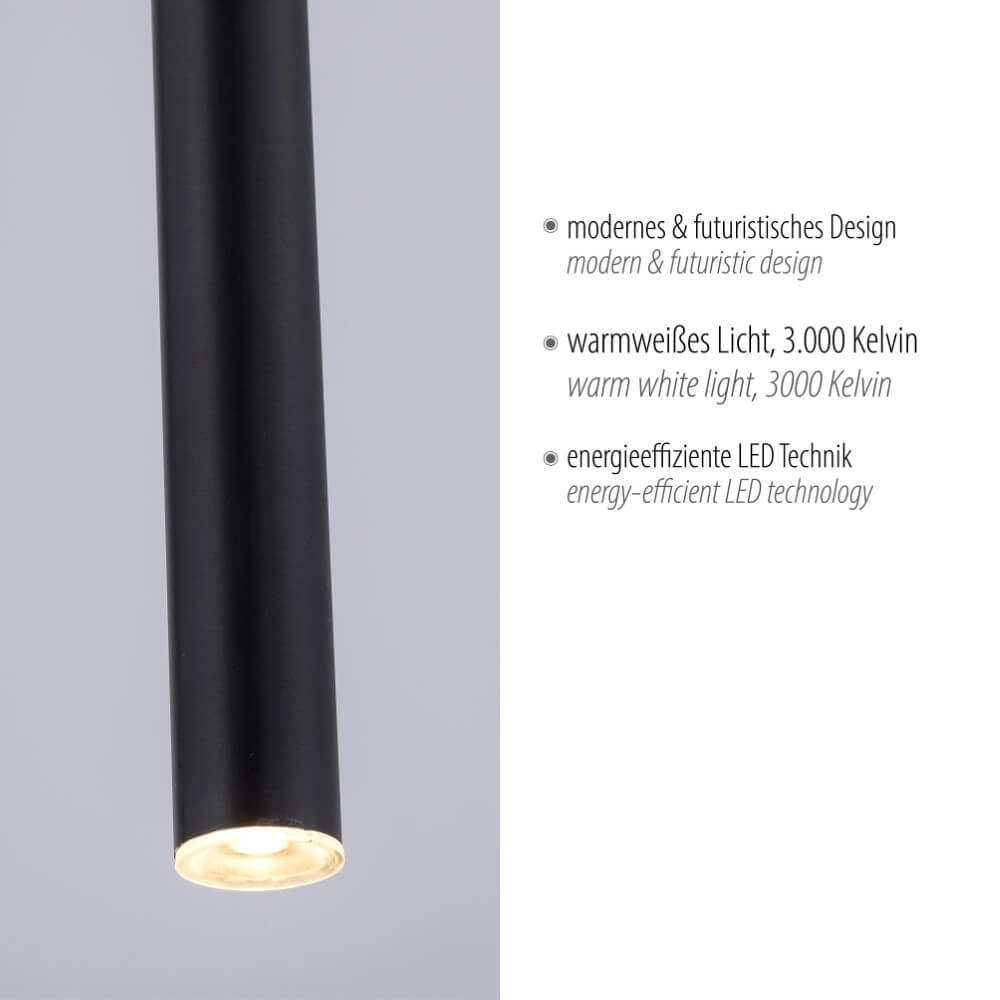 Lampe suspendue unique Flute 1 lumière noir Paul Neuhaus 4012248374764
