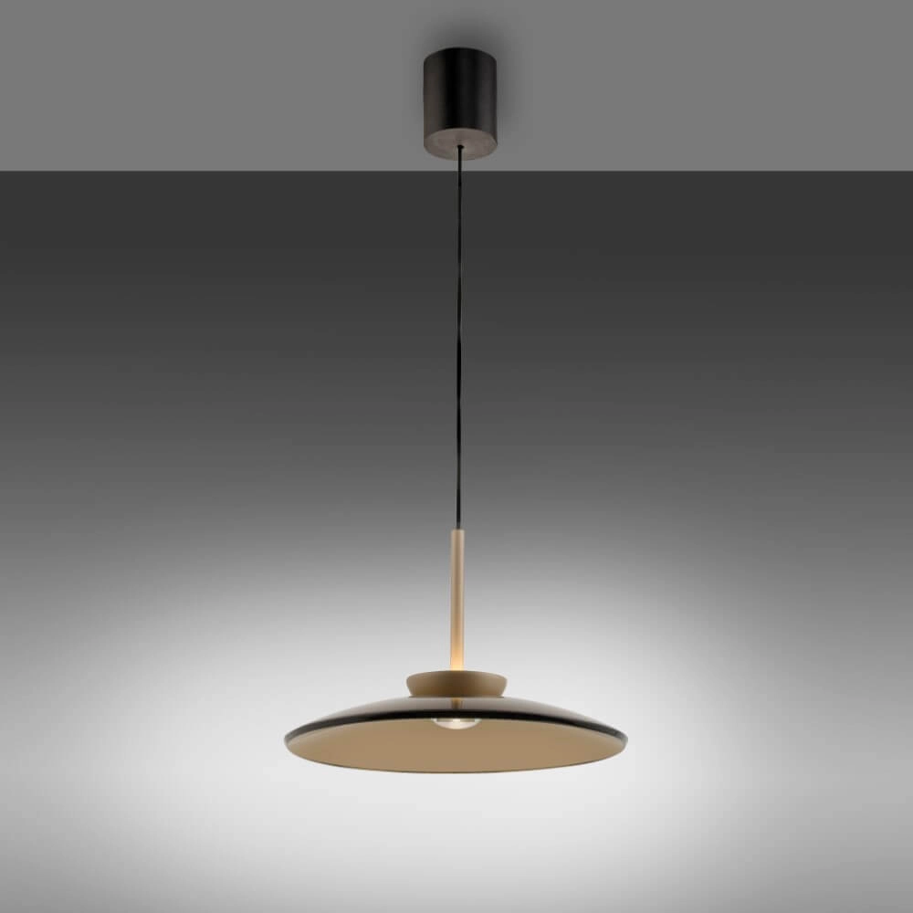 Lampe suspendue 1 lumière Pure E-Moon bronze Paul Neuhaus 4012248382769