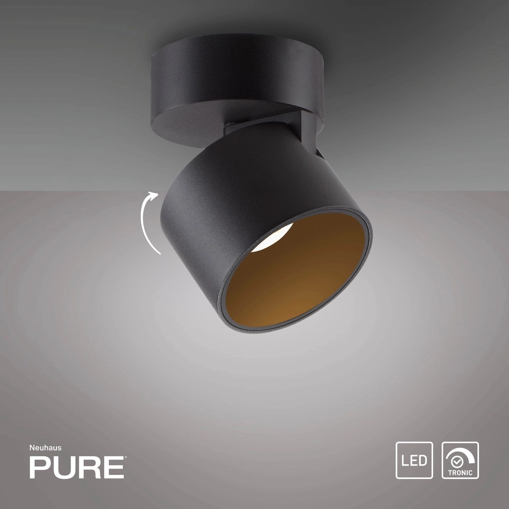 Spot lisse monté en surface Pure Cup Black Pearl Paul Neuhaus 4012248395585