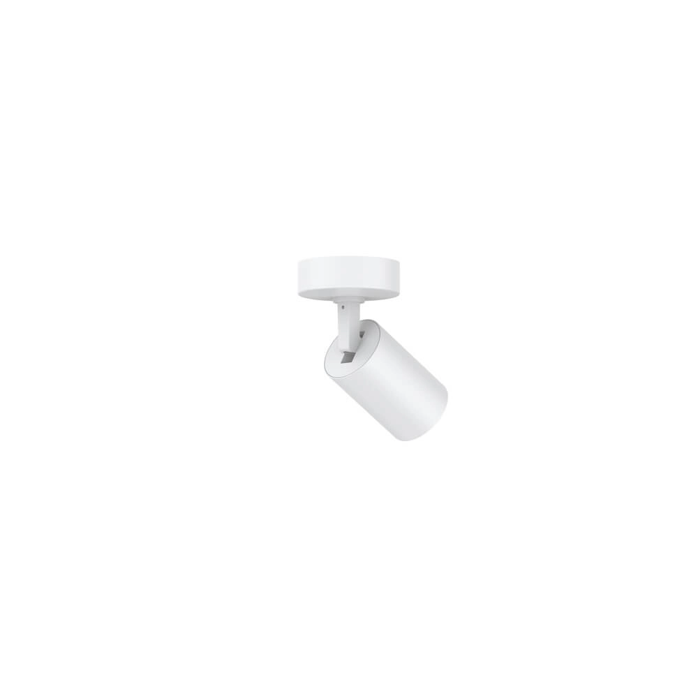 Spot simple en saillie Tevo blanc Lyora 4255805301029