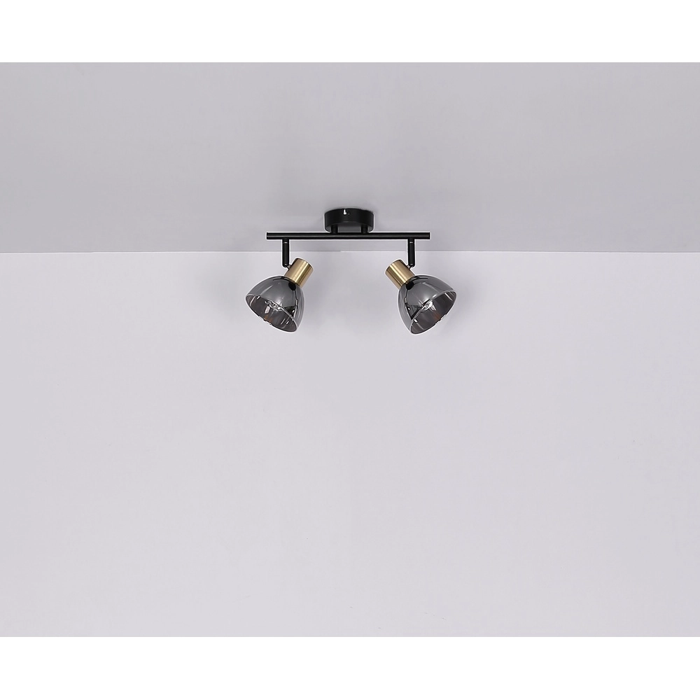 Lampe de plafond à design Jay 2-light noir avec fumée Globo 9007371396399