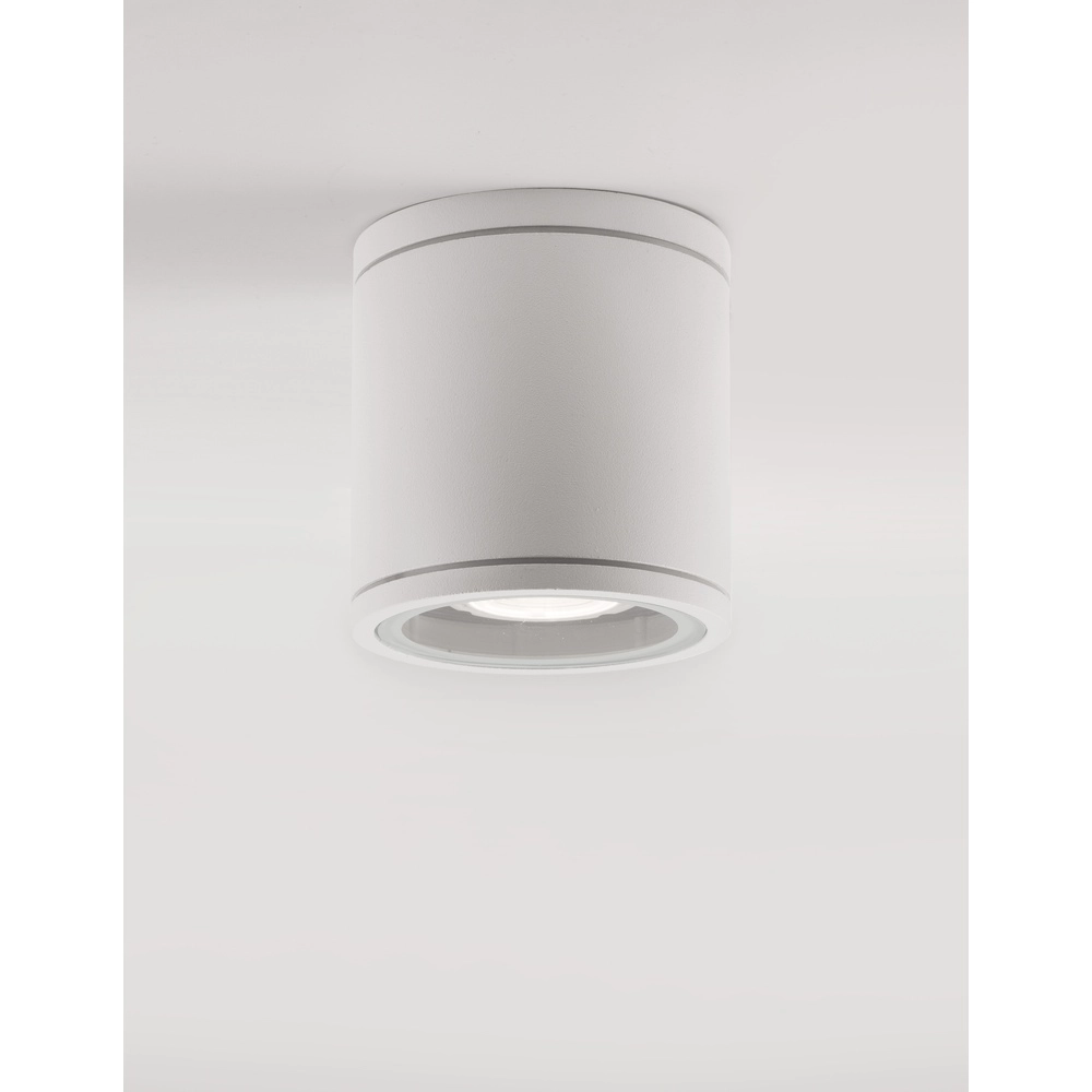 Moquerie Cerise Rond blanc