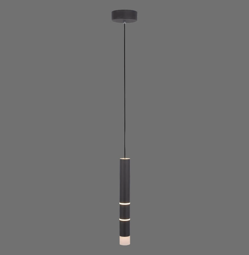 Lampe suspendue noire Pure Vega 3000K Paul Neuhaus 4012248357514