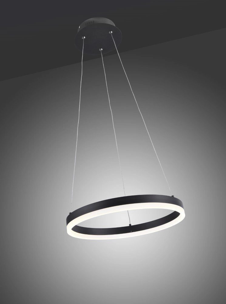 Lampe suspendue noire Titus Ø 40 cm Paul Neuhaus 4012248305140