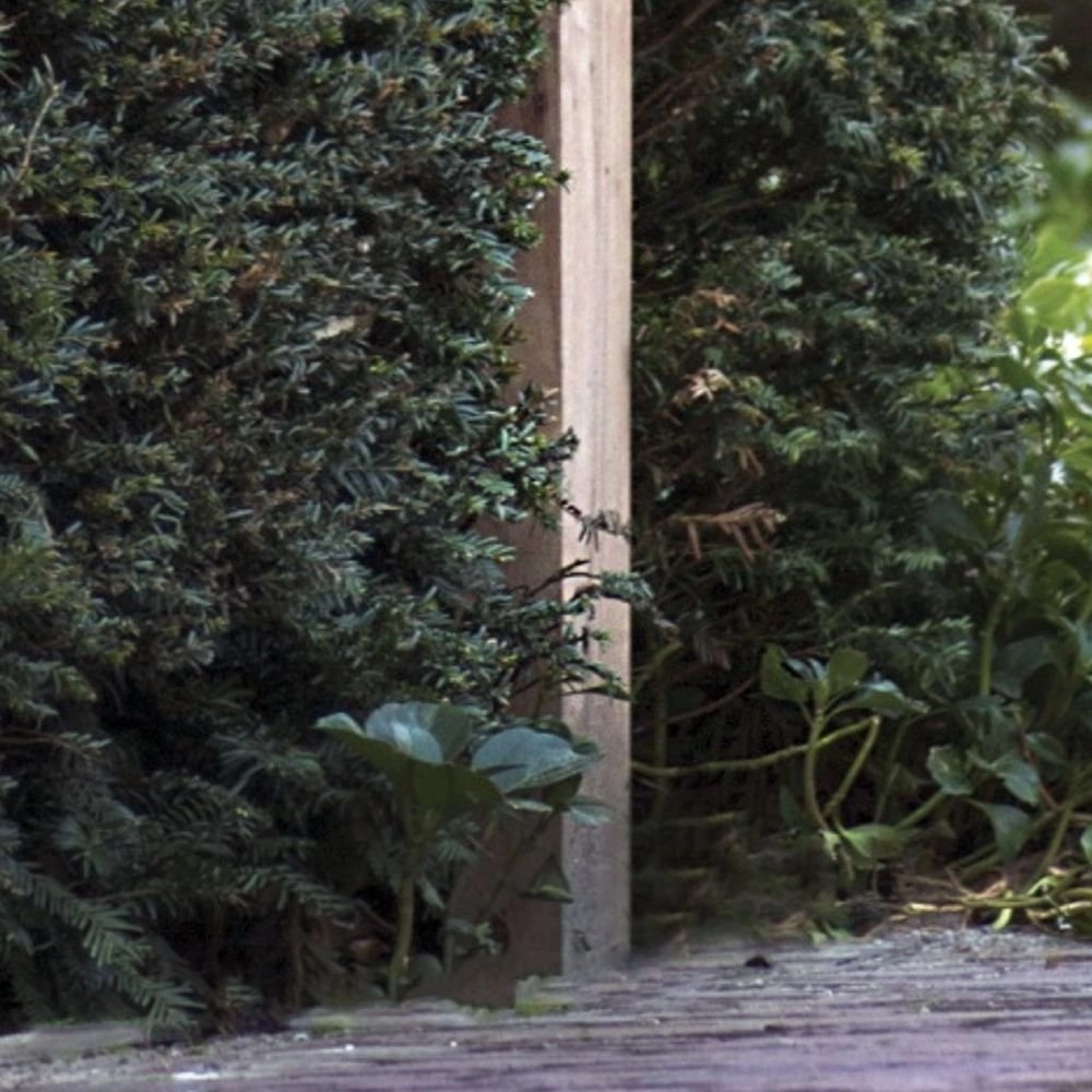 Spot de jardin rural Balume Pole sur mât en bois Authentage 8716803505070