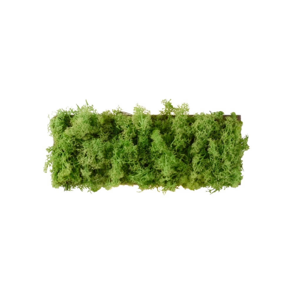 Plafonnier rectangulaire Green Carlo avec de la mousse Just Light 4043689994853