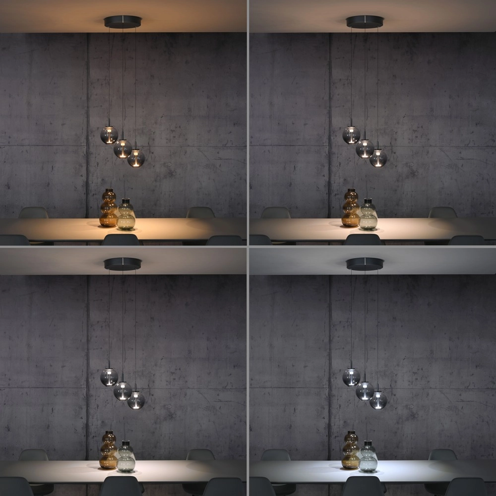 Lampe pendante Vide Pure E-Infinty Gris mystique avec verre fumé Paul Neuhaus 4012248398173