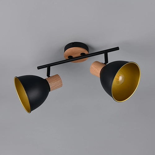 Lampe de plafond Delume Double Noir Trio 4017807672275