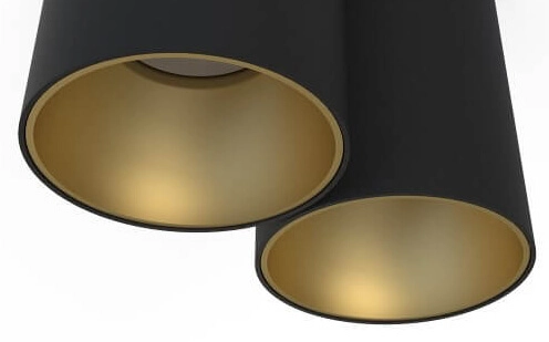 Spot de plafond Eye Tone noir avec de l'or Lyora 5903139808798