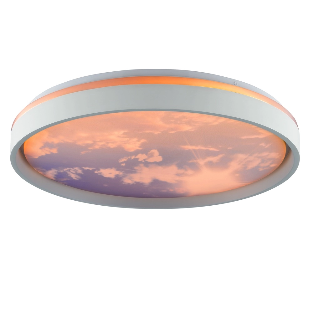 Éclairage de plafond Sky-Dream blanc avec gris Ø 48,5cm