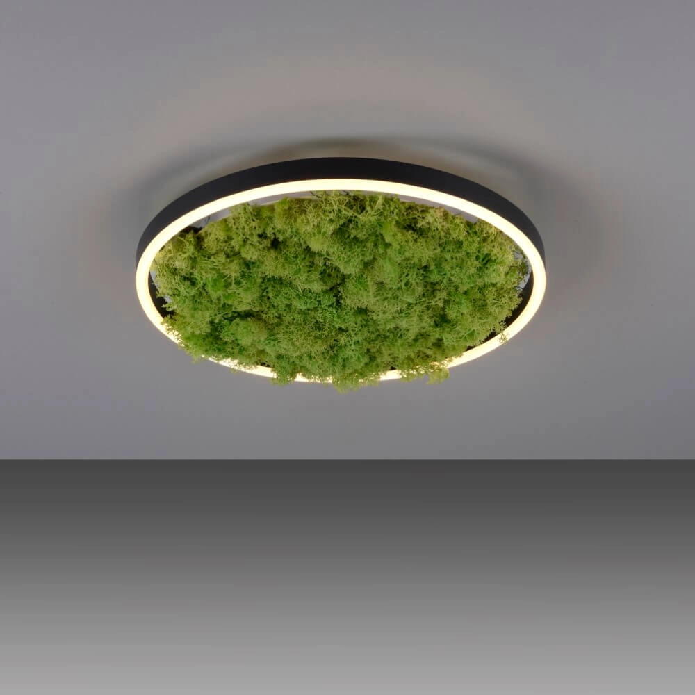 Plafonnier Green Ritus avec mousse Ø 39,3cm Just Light 4043689994792