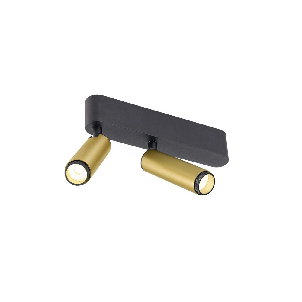 Spot monté en surface Grip! S Or 2 lumières 3000K SLV 4024163304856