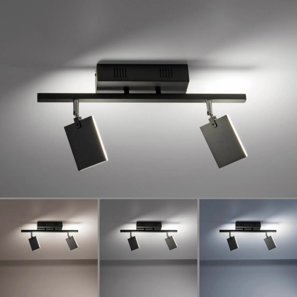 Plafonnier Pure Mira 2 lumières noir Paul Neuhaus 4012248359433