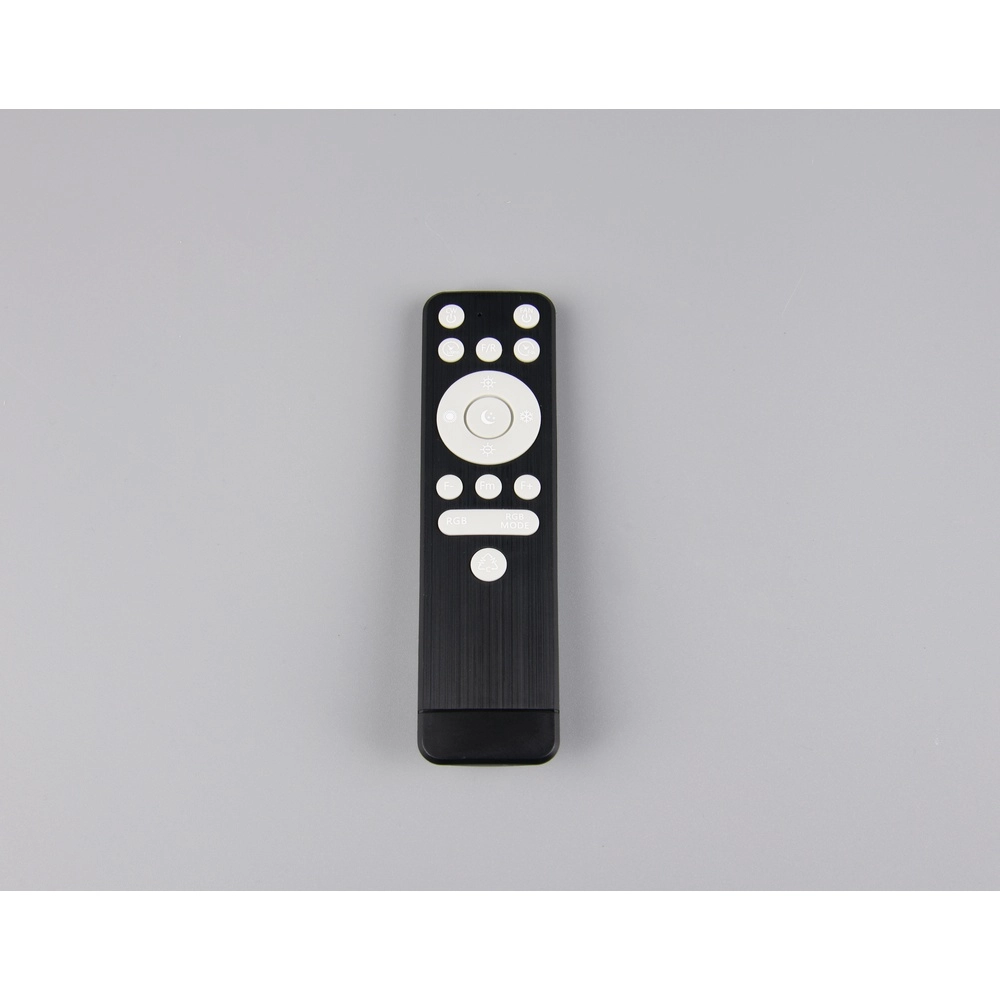 Ventilateur de conception Svaerholt noir Ø 60cm avec fonction RVB Trio 4017807688795