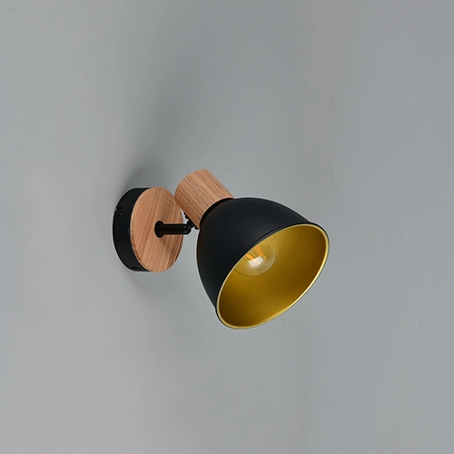 Lampe de plafond Delume Noir simple Trio 4017807672237