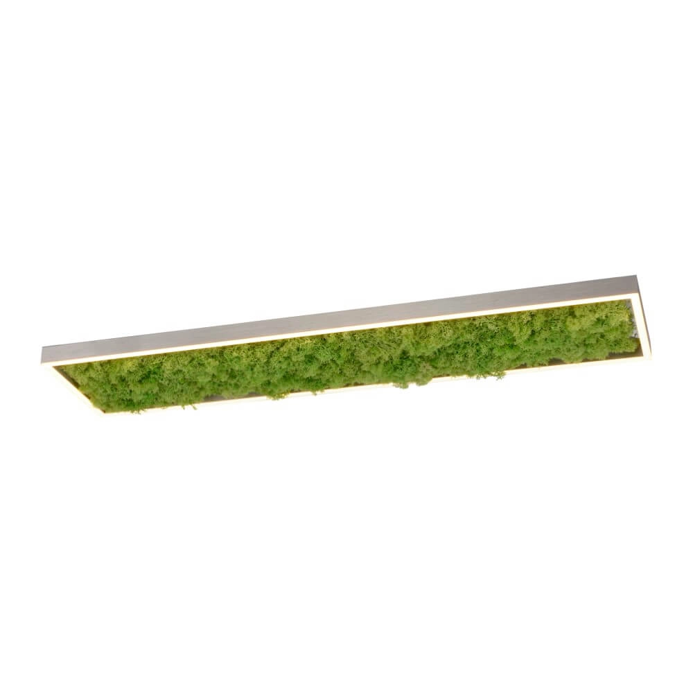 Plafonnier rectangulaire Green Knut avec de la mousse Plafonnier rectangulaire Green Knut avec de la mousse