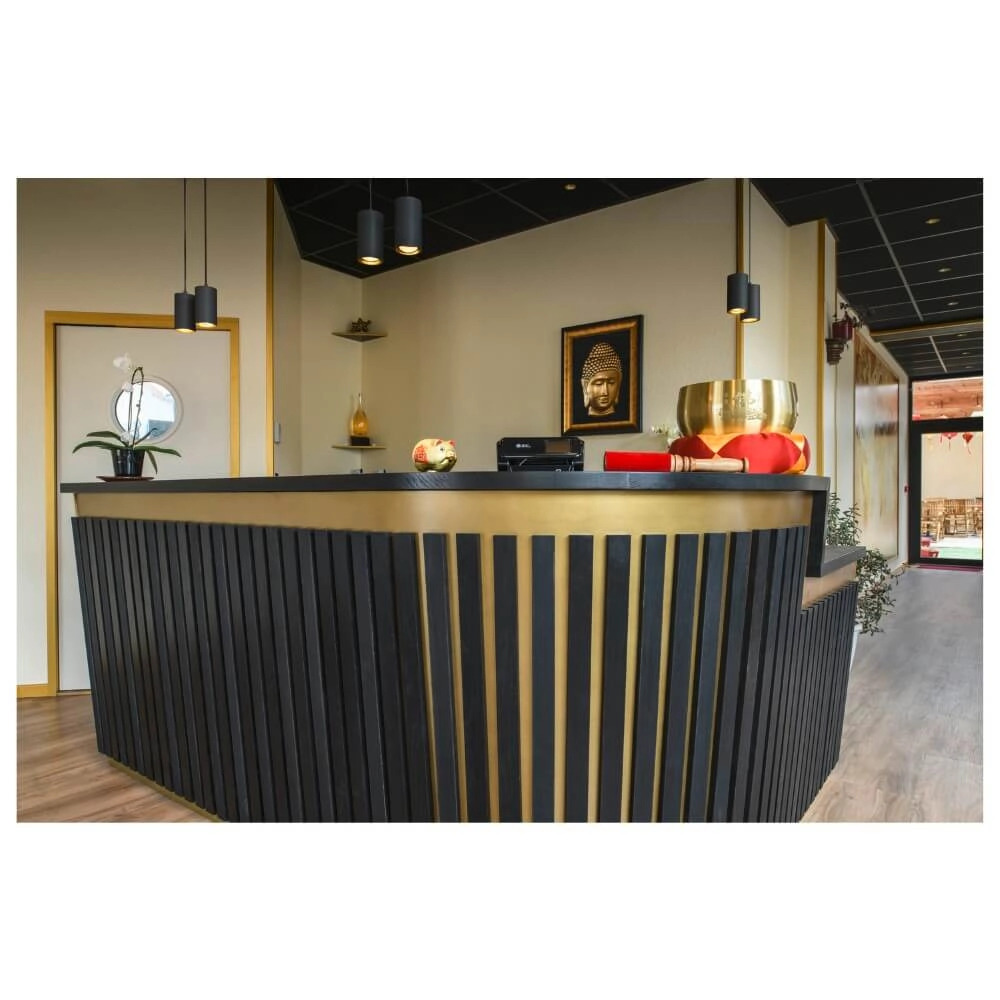 Lampe suspendue Asto Tube noir 2x GU10 SLV 4024163266079