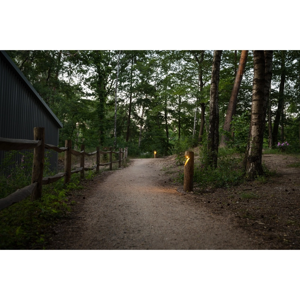 Éclairage de chemin en bois Bosco Châtaignier - 65 cm - 2700 000 km Timberlab 8716803513709