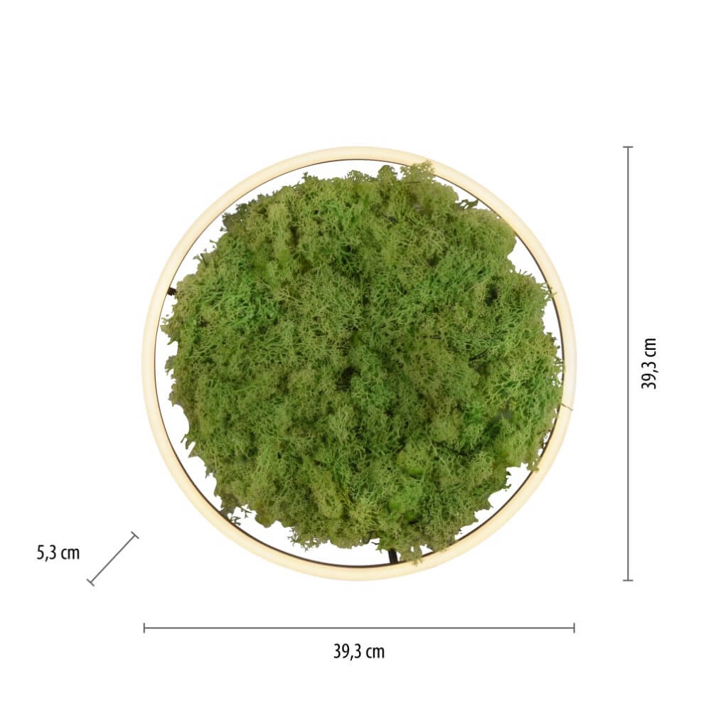 Plafonnier Green Ritus avec mousse Ø 39,3cm Just Light 4043689994792