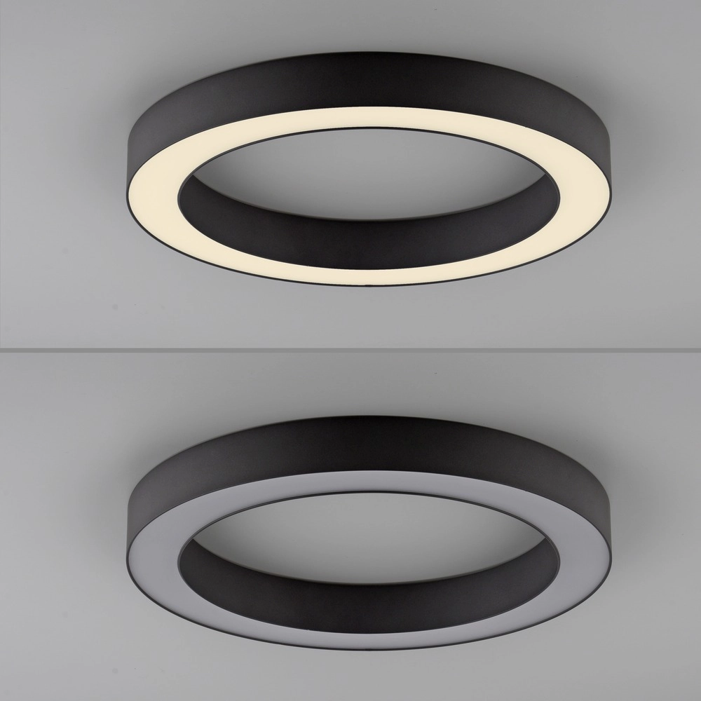 Lampe de plafond LED élégante Pure Lines Round Ø 35cm - graphite Paul Neuhaus 4012248395219