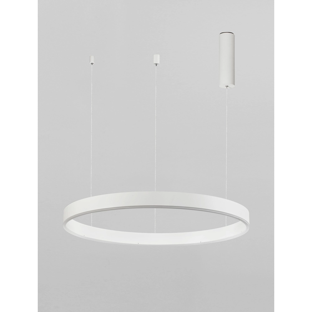 Suspension Motif blanc Ø 60cm 2700-6500K Lyora 5212017443601