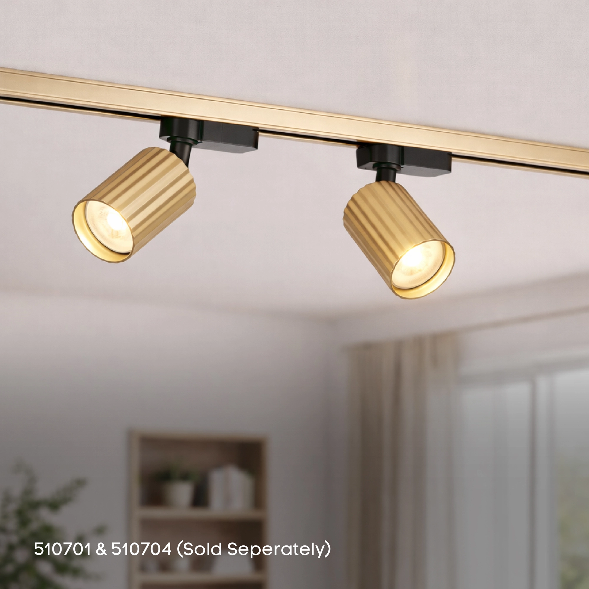 Rail de 2 compteurs avec alimentation électrique TraQ Or Lyora 5053423316475