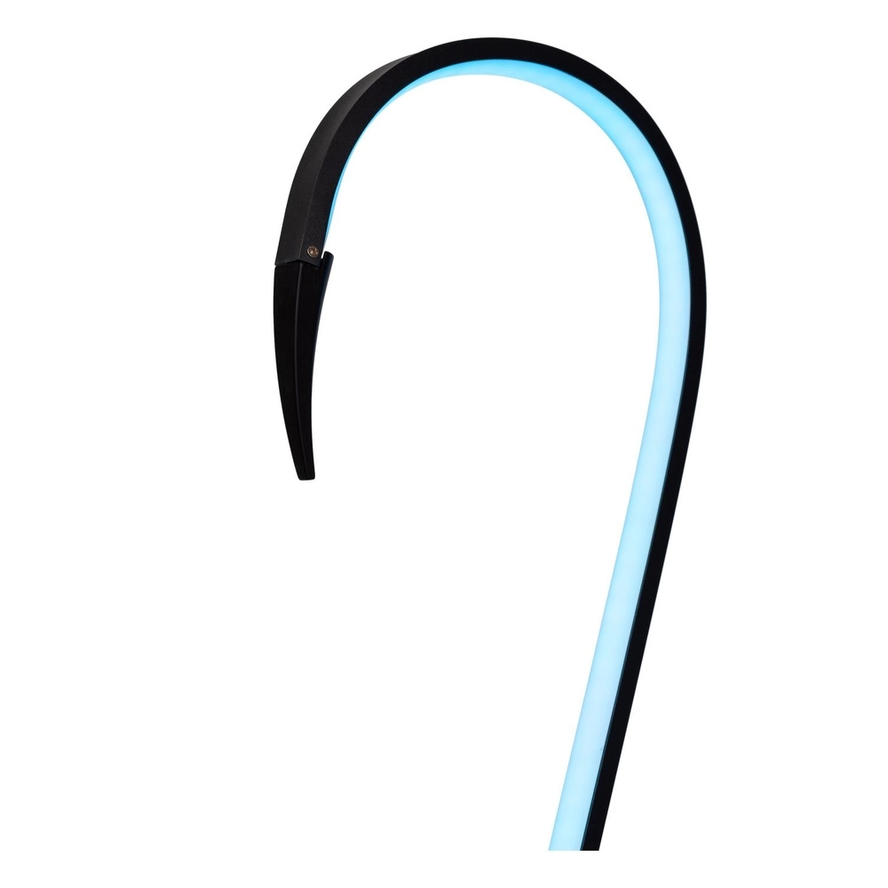 Lampe de pied Flamingo Noir Lucide 5411212051547