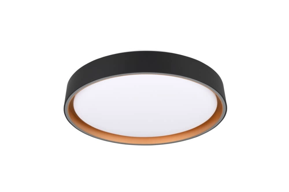 Plafonnier Felis noir avec de l'or Trio 4017807604030