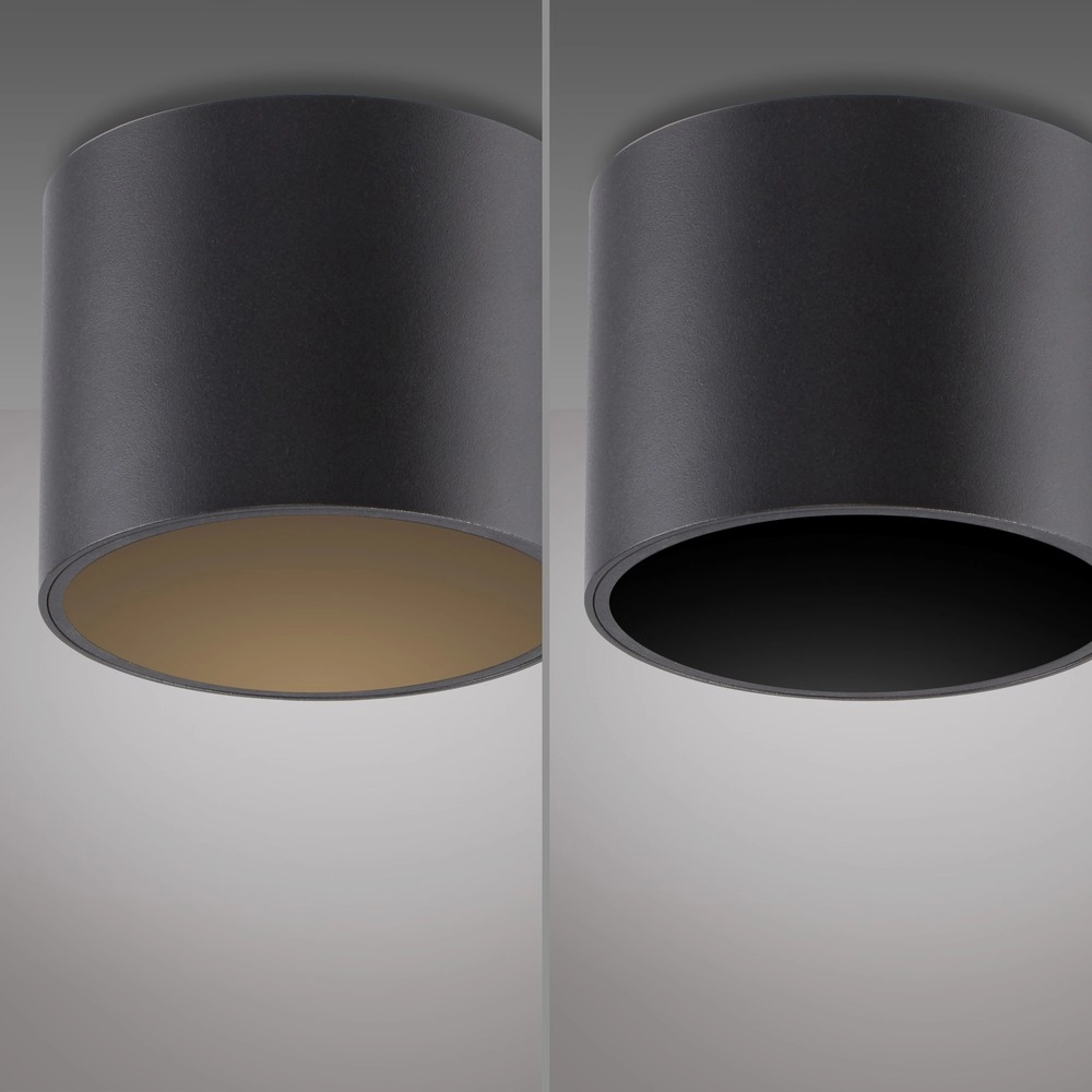 Emplacement monté en surface au plafond Pure Point Ø 11cm - nacré noir Paul Neuhaus 4012248395646