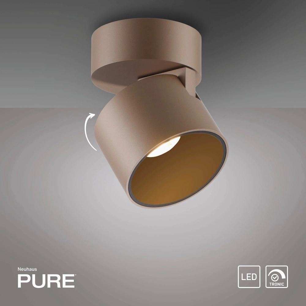 Spot lisse monté en surface Pure Cup Bronce Paul Neuhaus 4012248395592