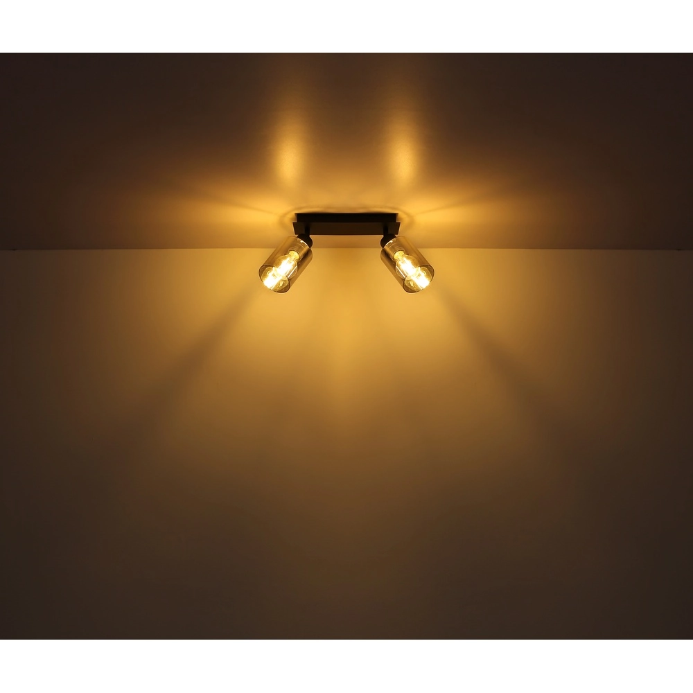 Lampe de plafond Hadera Noir à deux lumières avec verre fumé Globo 9007371440214
