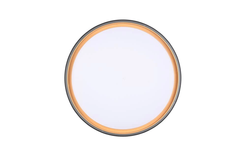 Plafonnier Felis noir avec de l'or Trio 4017807604030