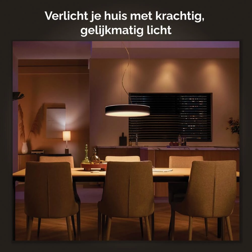 Lampe suspendue Hue Enrave - White Ambiance Ø 42,5 cm noir Philips 8718696176580