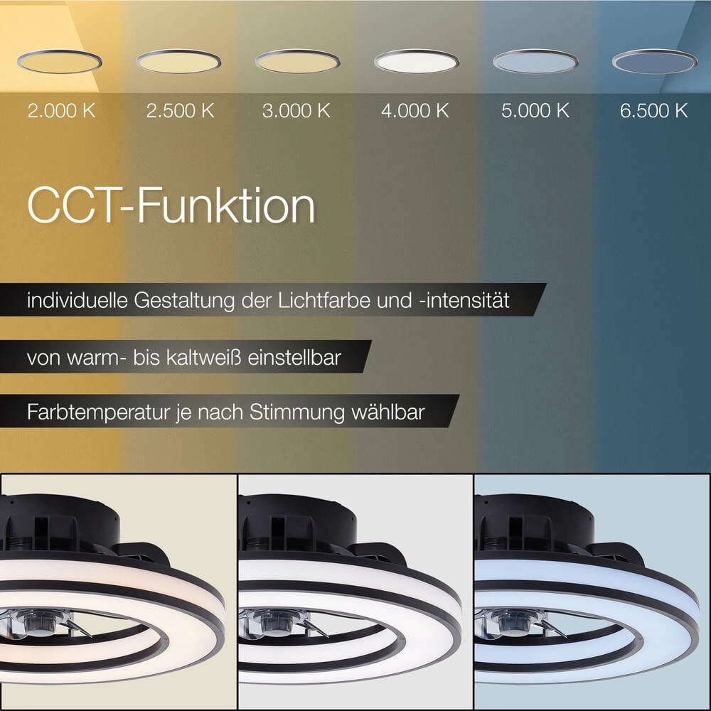 Ventilateur de plafond noir Mondello avec lampe RGB Brilliant 4004353453298