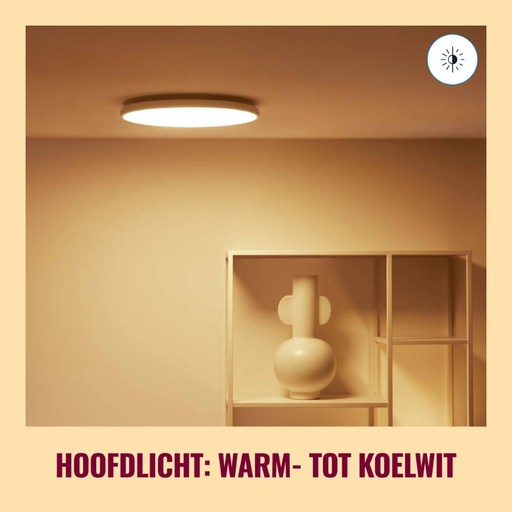 Plafonnier intelligent Rune Ø 40cm - blanc WiZ 8719514554276