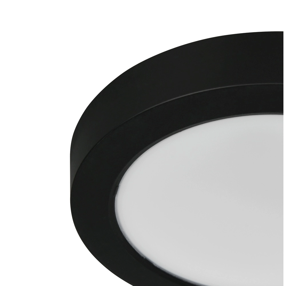 Lampe de plafond Laru Ø 12cm noir Trio 4017807711509