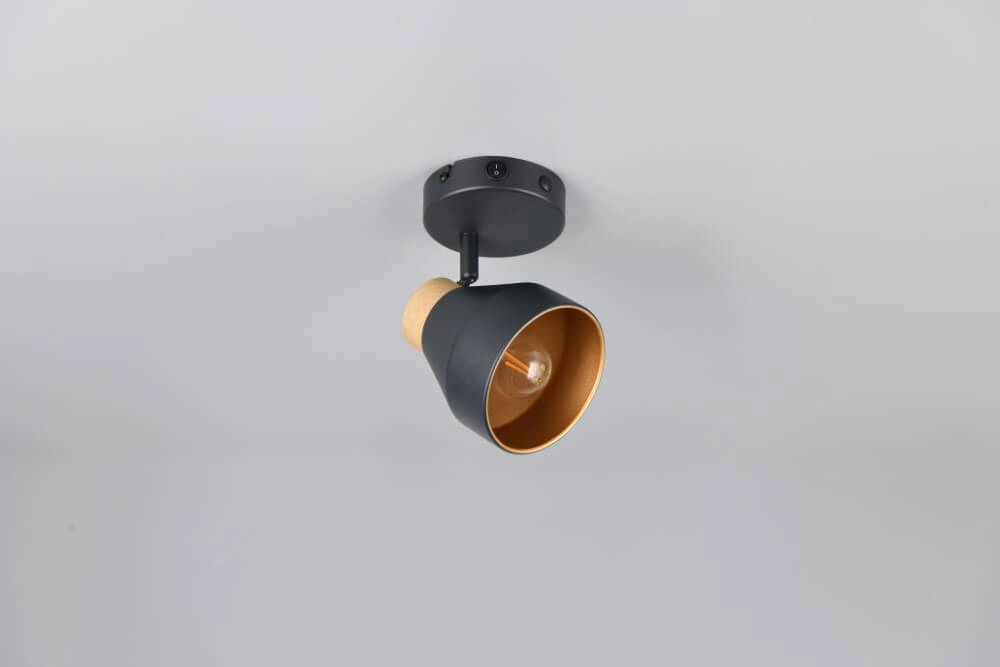 Applique murale design Valentin noir Trio 4017807637397