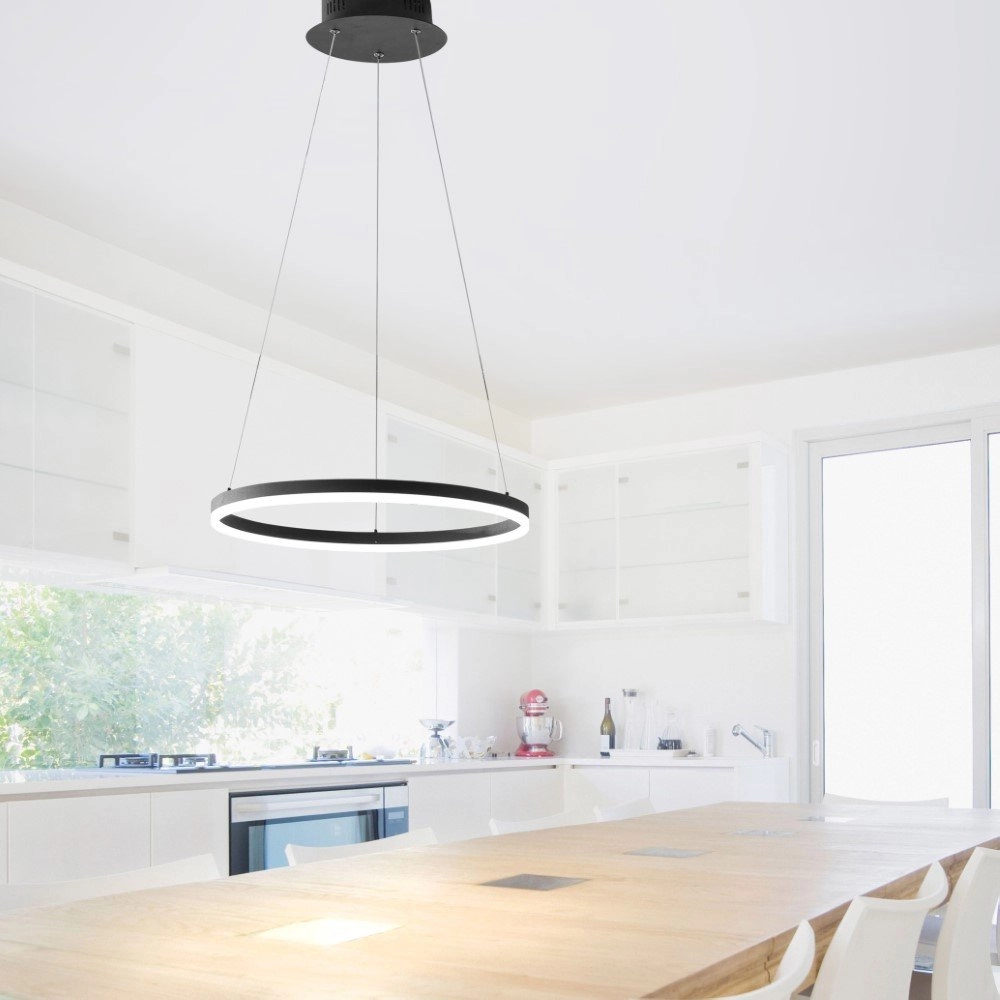 Lampe suspendue noire Titus Ø 40 cm Paul Neuhaus 4012248305140