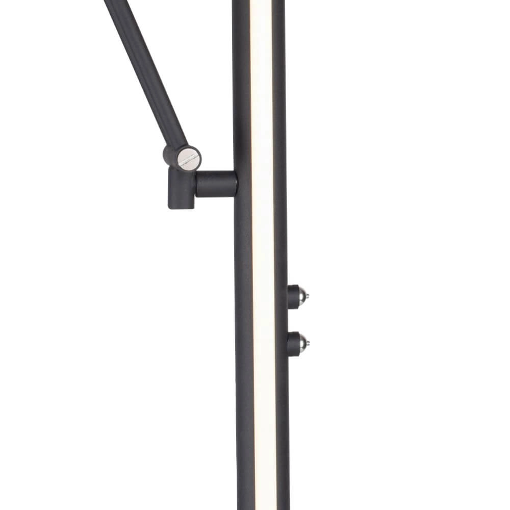 Lampadaire Pure Mutil anthracite Paul Neuhaus 4012248364345