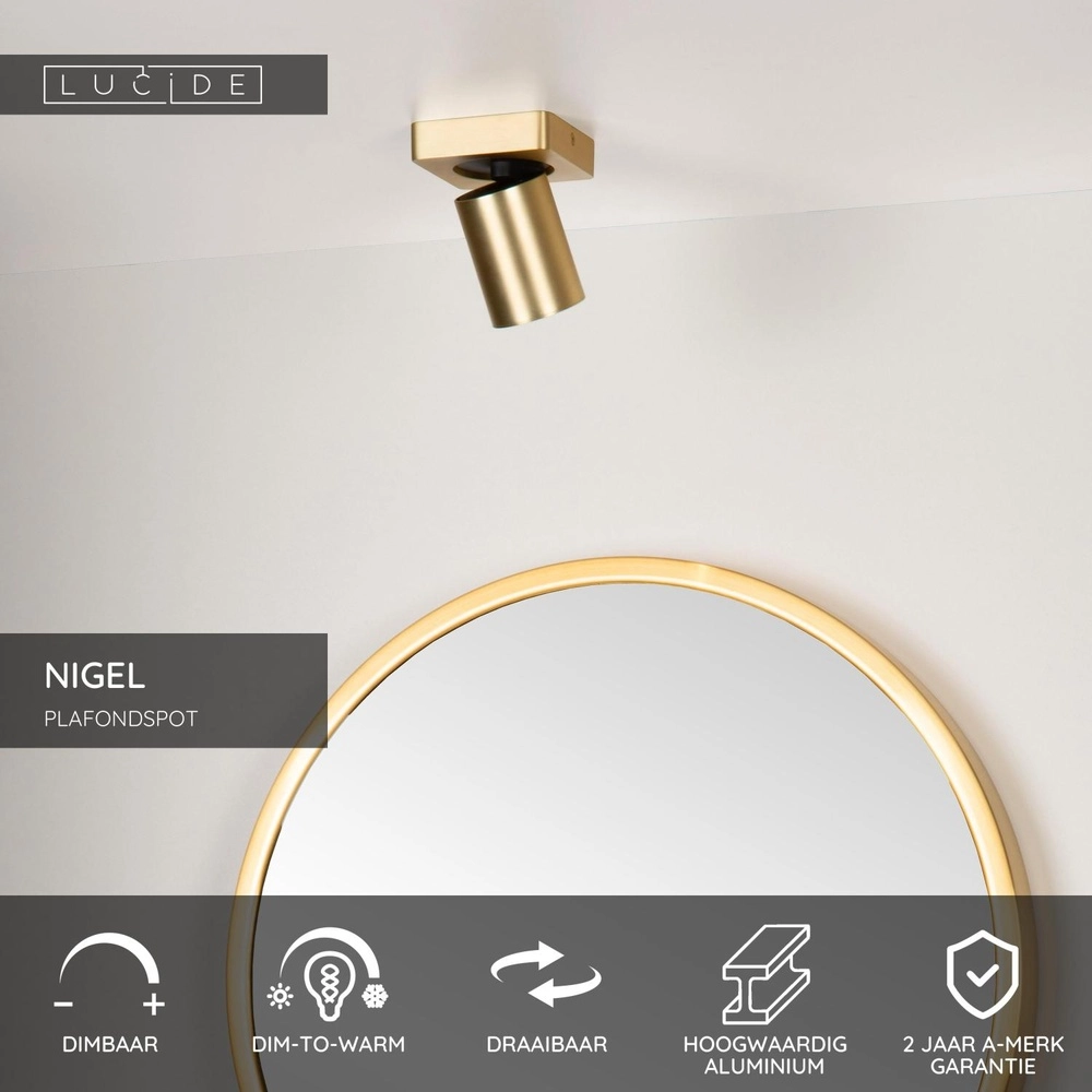 Projecteur de plafond Nigel Or Lucide 5411212092939