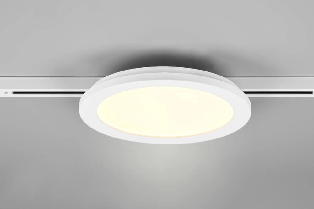 Lampe sur rail Camillus Biphasé 26cm - 3000K blanc Trio 4017807505993
