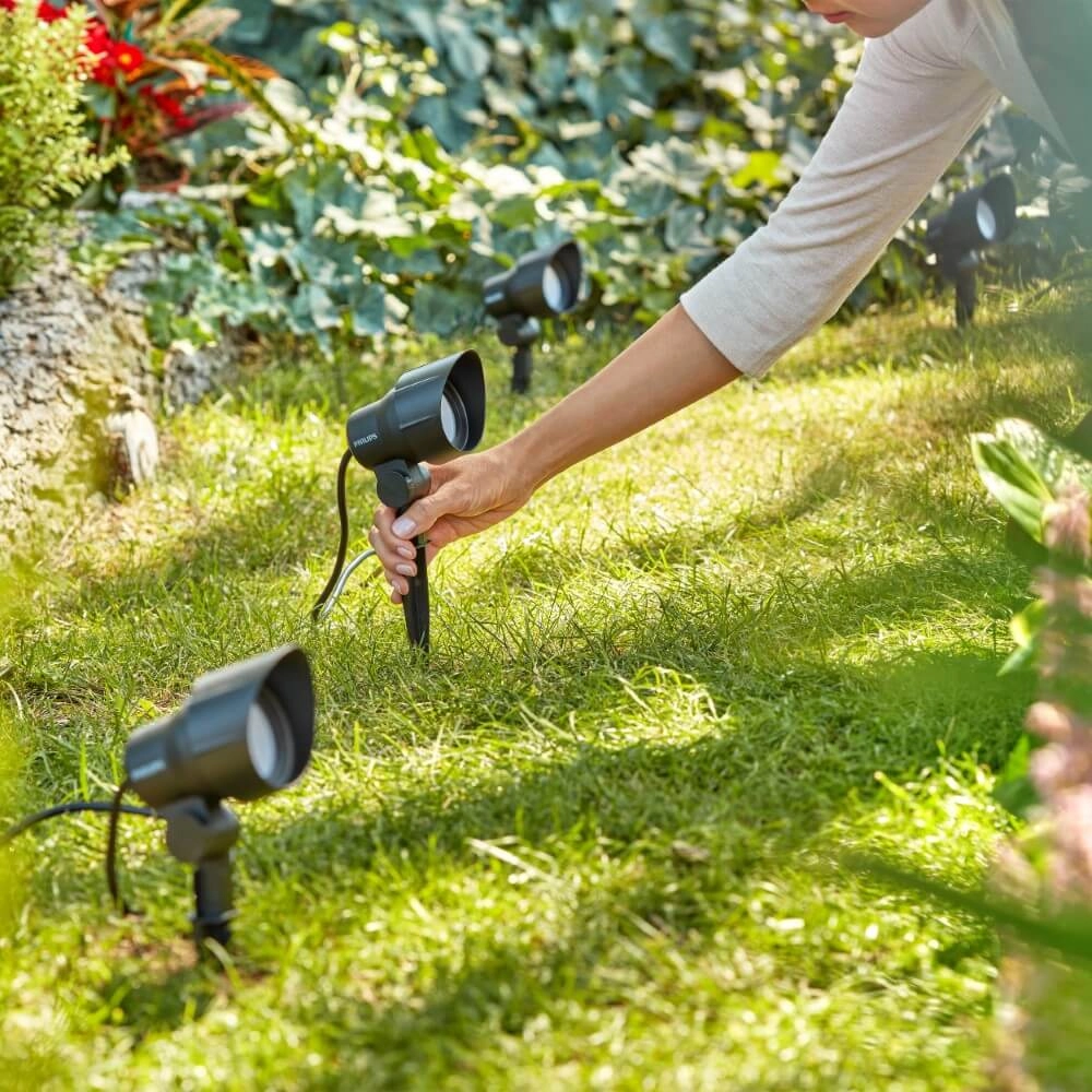 Point de piqûre Spike anthracite - rallonge Philips 8719514477094