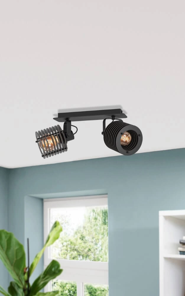 Spot de plafond industriel Segovia 2 lumières Eglo 9008606267156