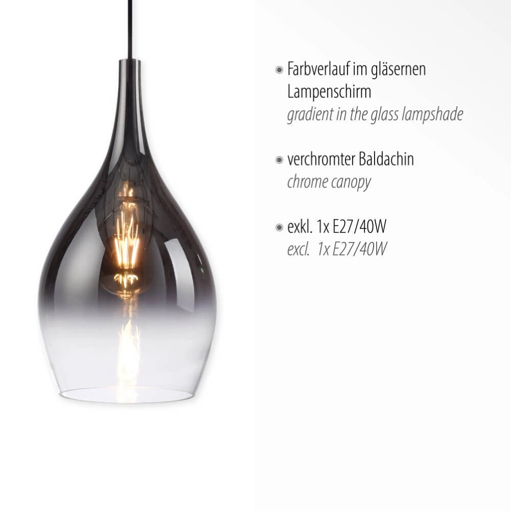 Lampe suspendue moderne Pilua 1 lumière Paul Neuhaus 4012248366080