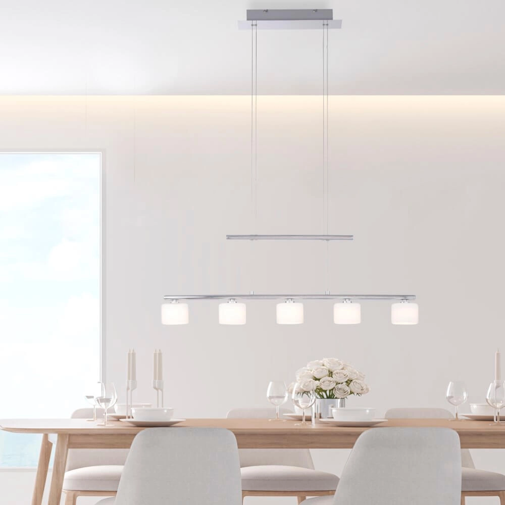 Lampe suspendue 5 lumières Hydra métal Paul Neuhaus 4012248364963