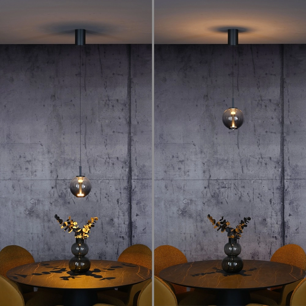 Suspension LED Pure Infinity avec verre fumé - Ø 18cm Paul Neuhaus 4012248399033